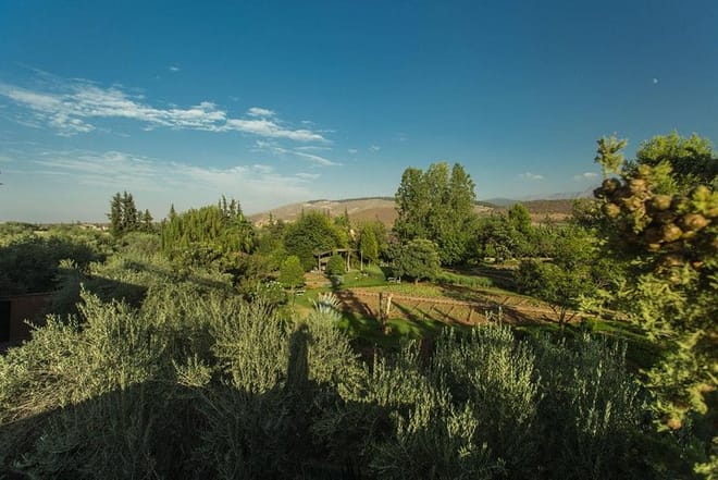 Bio Aromatique Garden Marrakech 8