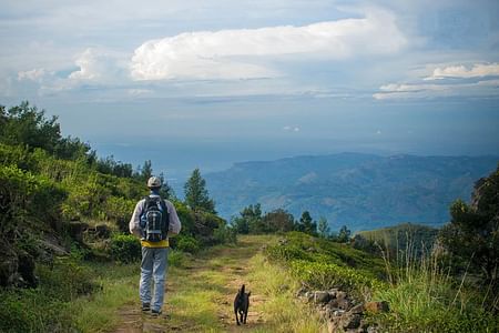 Guided Devil's Staircase Trekking Adventure with Lunch & River Bath