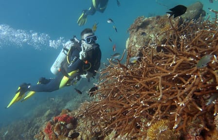 Diving Adventure in Hurghada: Explore the Red Sea Reefs
