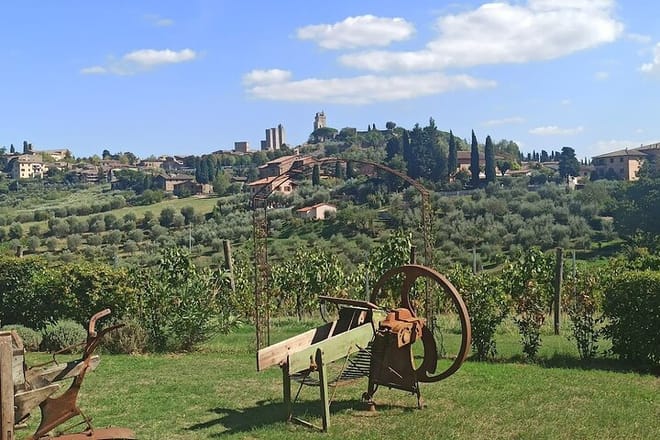 Half-Day Chianti Classico Tour with San Gimignano