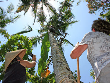 Experience Balinese Culture and Agriculture in Denpasar