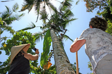 Experience Balinese Culture and Agriculture in Denpasar