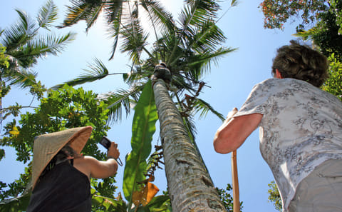 Experience Balinese Culture and Agriculture in Denpasar