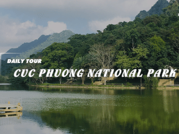 Cuc Phuong National Park Day Tour from Ninh Binh