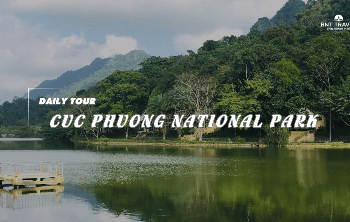 Cuc Phuong National Park Day Tour from Ninh Binh