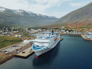 Private Eastfjords Seasonal Wildlife Tour from Seyðisfjörður, photo 19