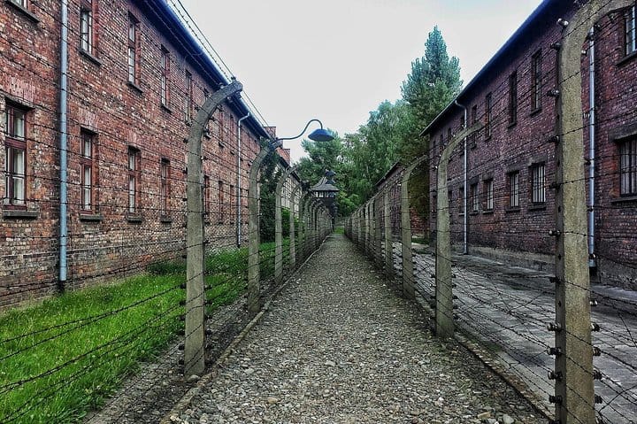 Krakow to Auschwitz-Birkenau: Private Round-Trip Experience 3