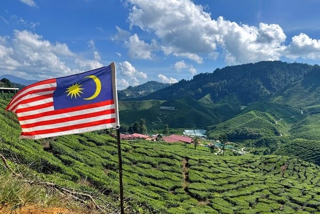 Cameron Highlands with Lunch Guided Day Tour (SIC/Shared Tour) 5