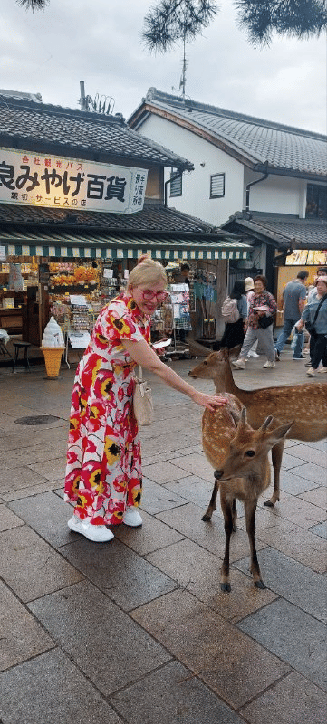 nara city 