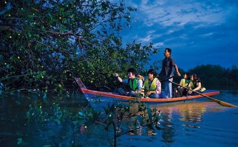 Langkawi Mangrove Night Safari with BBQ Dinner