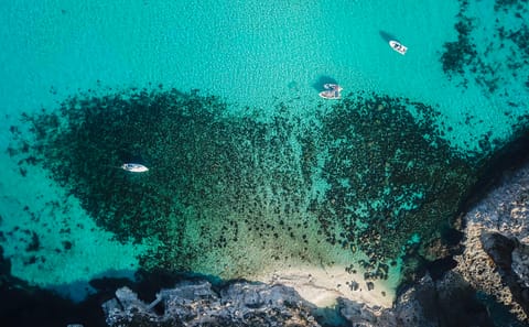 Full-Day Comino and Blue Lagoon Mini Cruise from Sliema