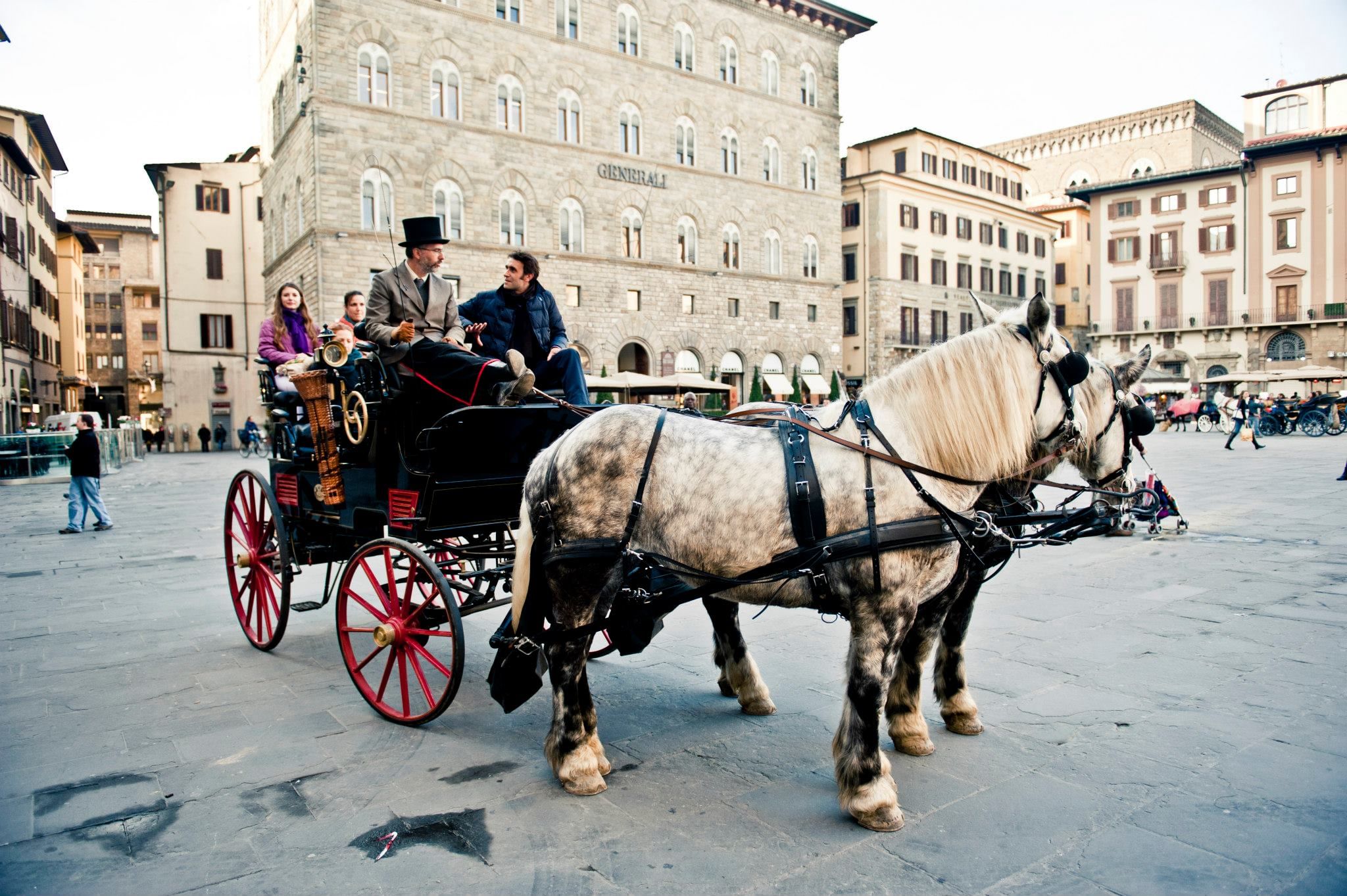View of a horse-drawn carriage with two horses and its coachman on board