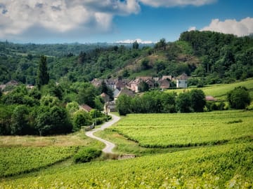 Wine Tasting and Vineyard Tour in Burgundy from Paris