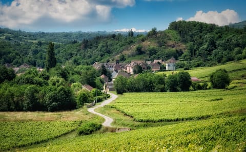 Wine Tasting and Vineyard Tour in Burgundy from Paris