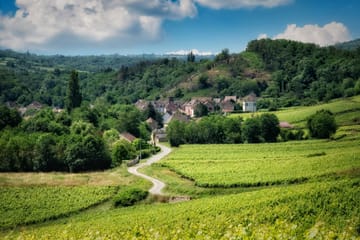 Wine Tasting and Vineyard Tour in Burgundy from Paris