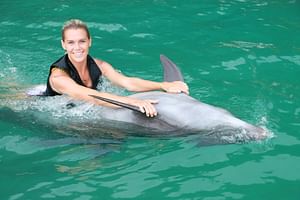 Dolphin Swim And Ride in Los Cabos