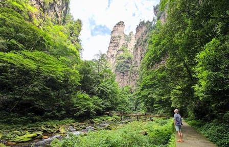 Zhangjiajie National Park Day Trip with Guided Tour