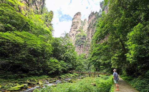 Zhangjiajie National Park Day Trip with Guided Tour