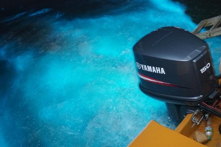 Luminous Lagoon Night Experience From Montego Bay 3