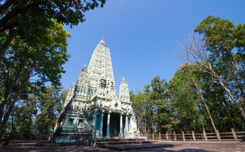 Private 7-Day Bangkok and Golden Triangle Cultural Tour