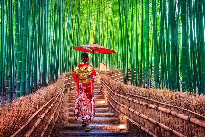 Kyoto Arashiyama & Kinkaku-ji Temple Private Tour From Osaka Port