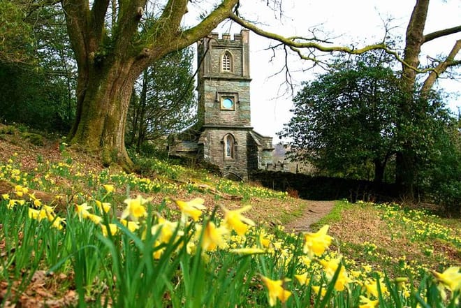 Dora's Field