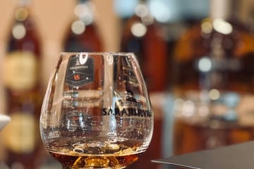 Culinary Dinner Experience with Sommelier in Tbilisi