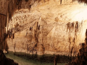 Alexander the Great Experience: Private Tour Vergina and Pella
