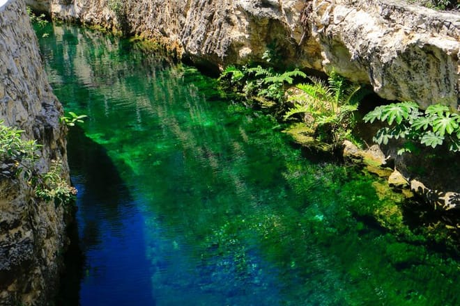 Tour en Cenote de Tulum 5 Cenotes y Despierta Tus Sentidos