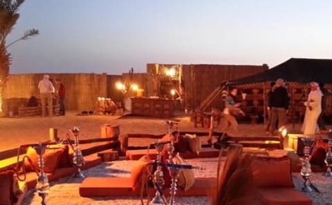 Quad Biking, Camel Ride, Dinner & Stargazing in Sharm El Sheikh