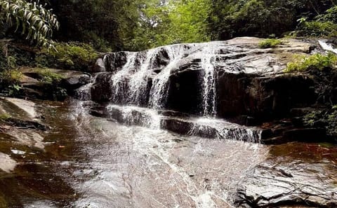 Pattaya Khao Chamao Waterfall, Caves and Buddha Temple Tour