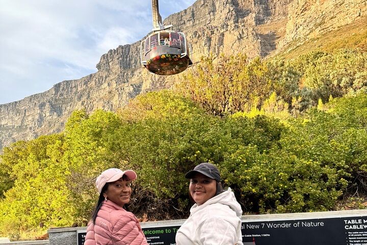 Table Mountain and Penguins Half Day Shared Group Tour