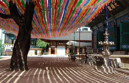 Full-Day Palace Tour in Seoul