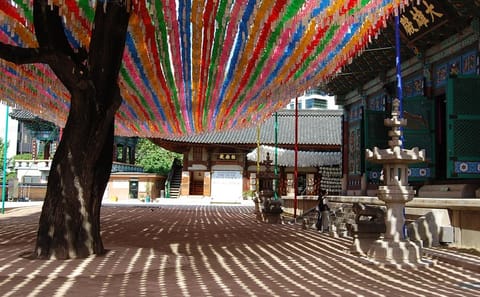 Full-Day Cultural Palace Tour in Seoul, South Korea