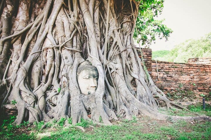 Bangkok to Ayutthaya Temples Small Group Tour with Lunch