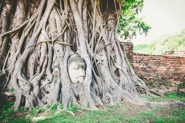 From Bangkok: Ayutthaya Temples Small Group Tour with Lunch