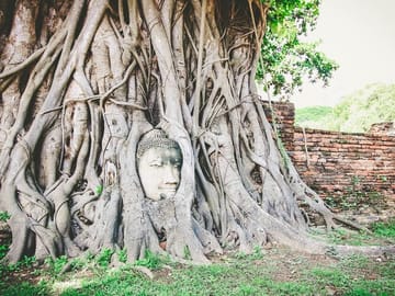 From Bangkok: Ayutthaya Temples Small Group Tour with Lunch