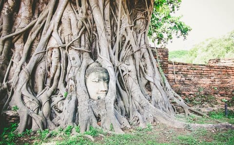 From Bangkok: Ayutthaya Temples Small Group Tour with Lunch
