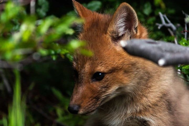 4-Day Atacama Desert Experience with Hotel, Tours & Meals