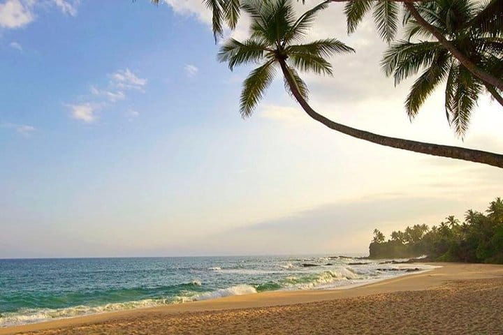 The Sacred Sri Lanka 4 Nights | 5 Days