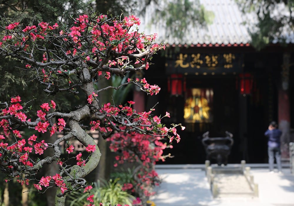 Unlock the Secrets of the Three Kingdoms at Chengdu's Wuhou Shrine