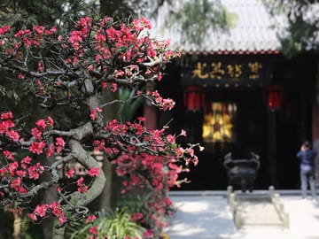 Chengdu Mahjong Experience Multilingual Guide