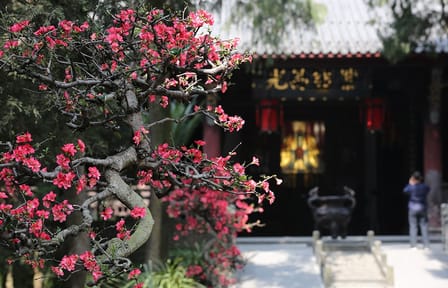 Wuhou Memorial Hall Guided Tour with Ticket in Chengdu