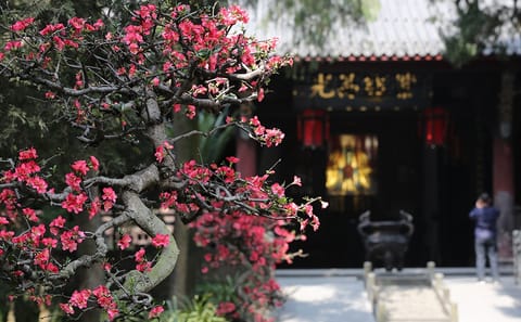 Wuhou Memorial Hall Guided Tour with Ticket in Chengdu