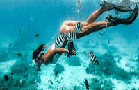 La Romana: Tour Isla Catalina con Snorkel y Playas 5