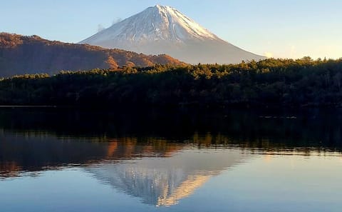 English Guided 3 Days Tokyo, Mt. Fuji and Hakone Private Tour