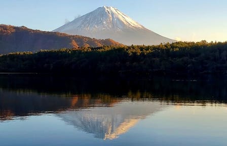 English Guided 3 Days Tokyo, Mt. Fuji and Hakone Private Tour