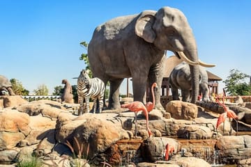 Dubai Safari Park Wildlife Adventure Tour for Families