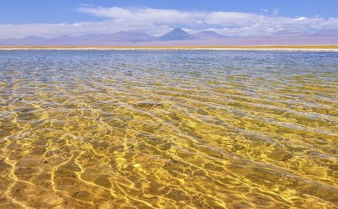5-Day Nature Tour of San Pedro de Atacama, Chile