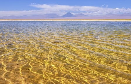 5-Day Nature Tour of San Pedro de Atacama, Chile